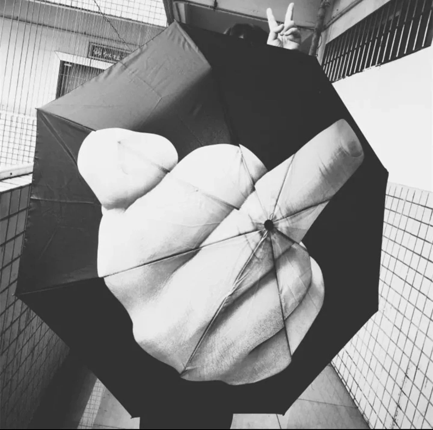 Petite histoire drôle sur le parapluie doigt d'honneur