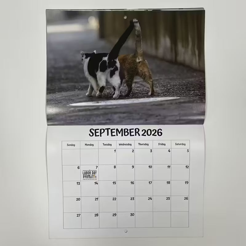 Calendrier des trous de cul de chat
