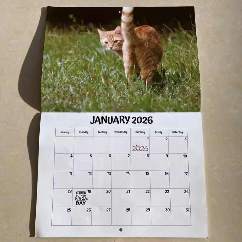 Calendrier des trous de cul de chat