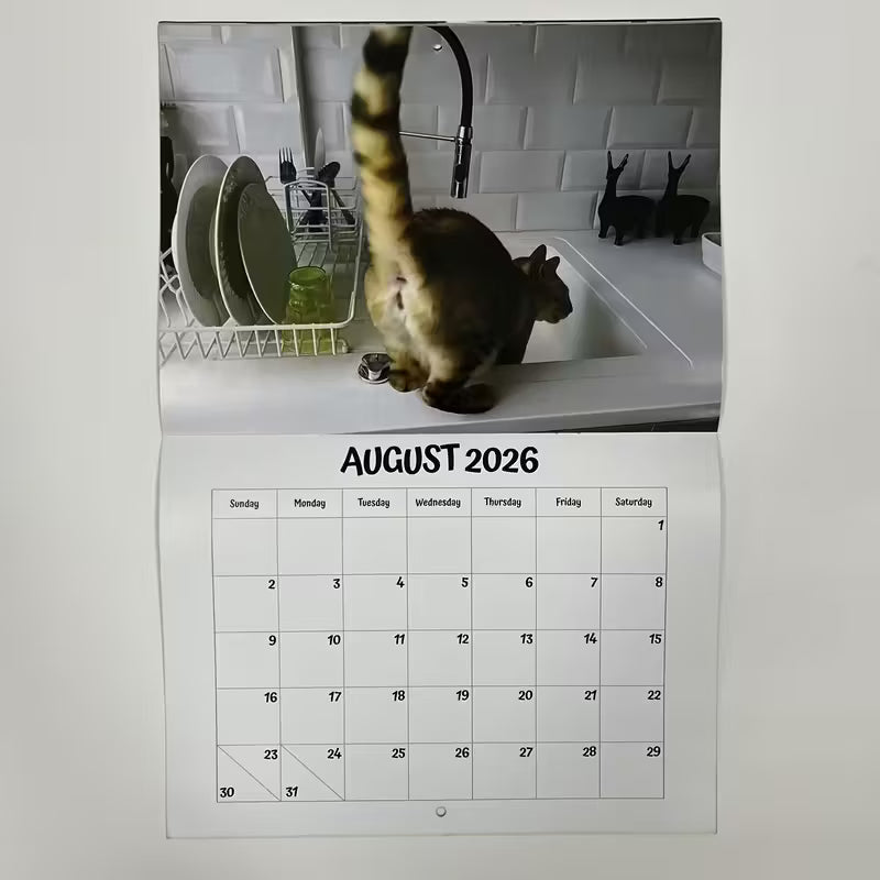 Calendrier des trous de cul de chat