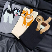 Chaussettes cul de chien