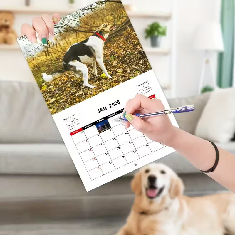 Calendrier des chiens faisant caca dans des endroits magnifiques