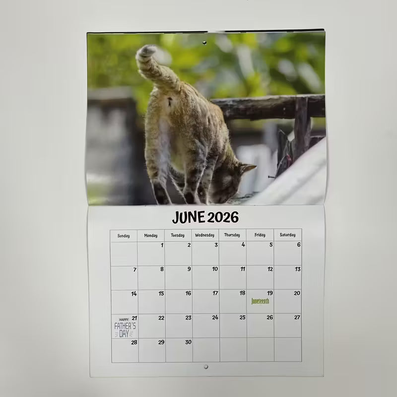 Calendrier des trous de cul de chat