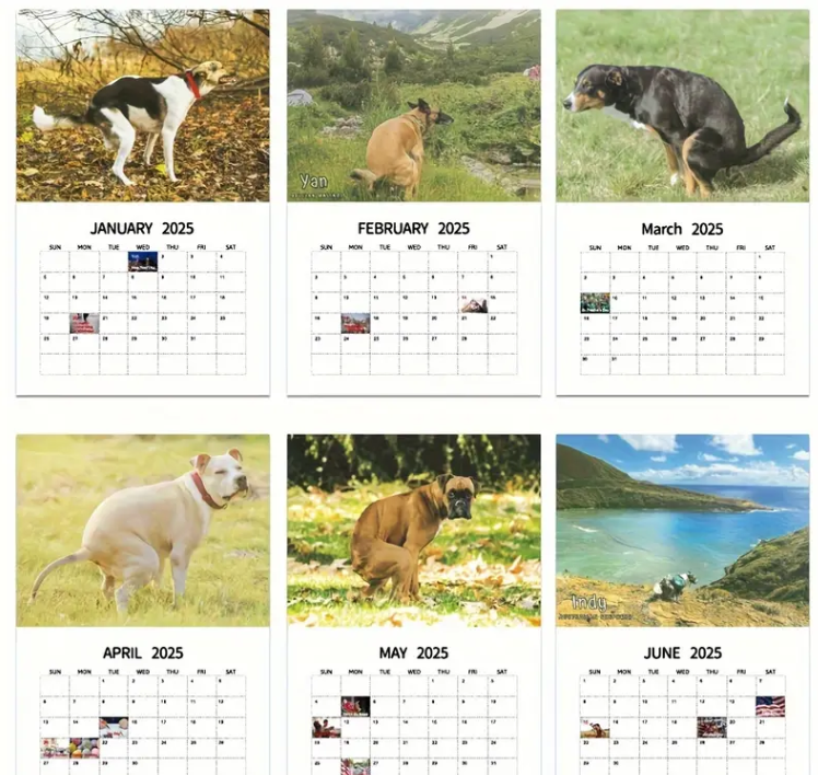 Kalender 2025 mit Hunden, die an schönen Orten kacken