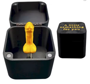 Zizi dans une boîte