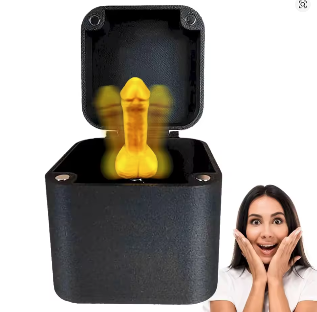 Zizi dans une boîte