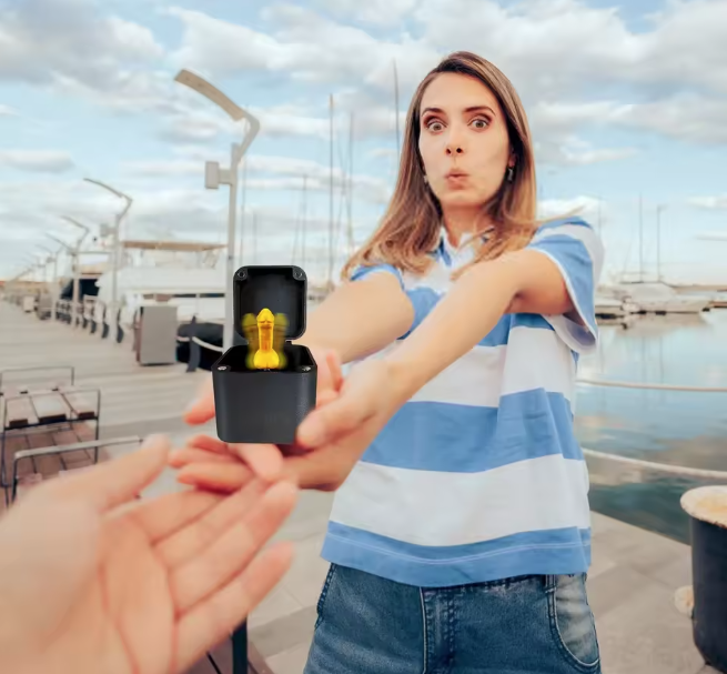 Zizi dans une boîte