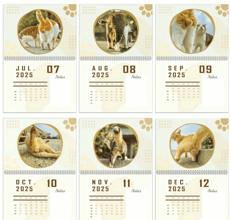 Calendrier 2025 des testicules de chat