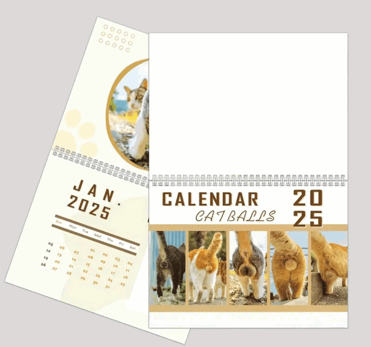 Calendrier 2025 des testicules de chat