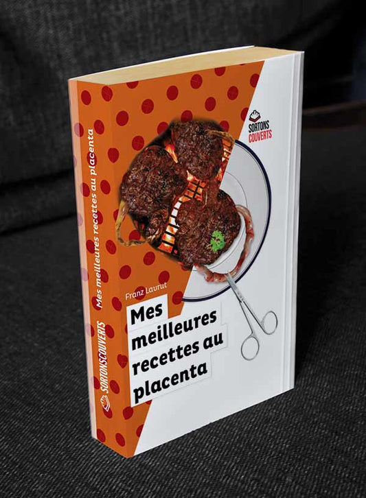 Fake-Cover „Meine besten Plazenta-Rezepte“