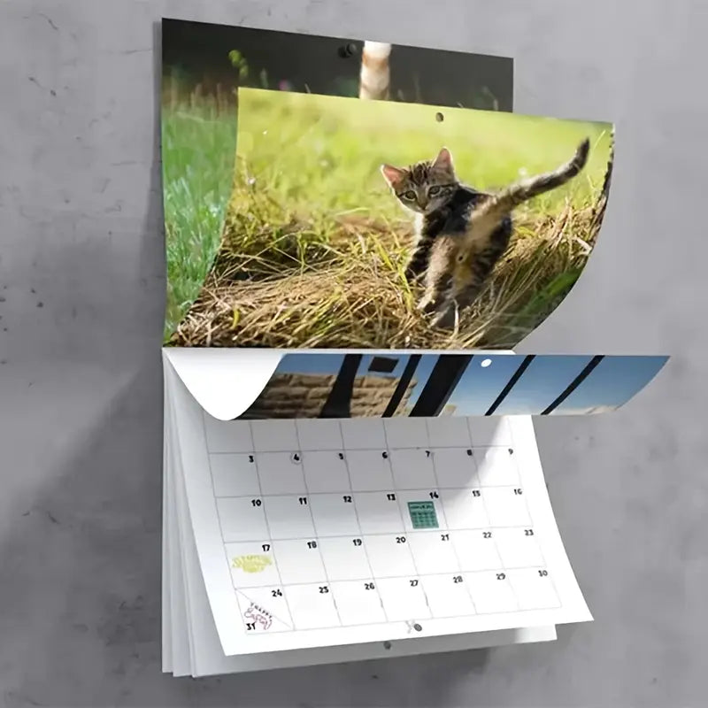 Calendrier des trous de cul de chat