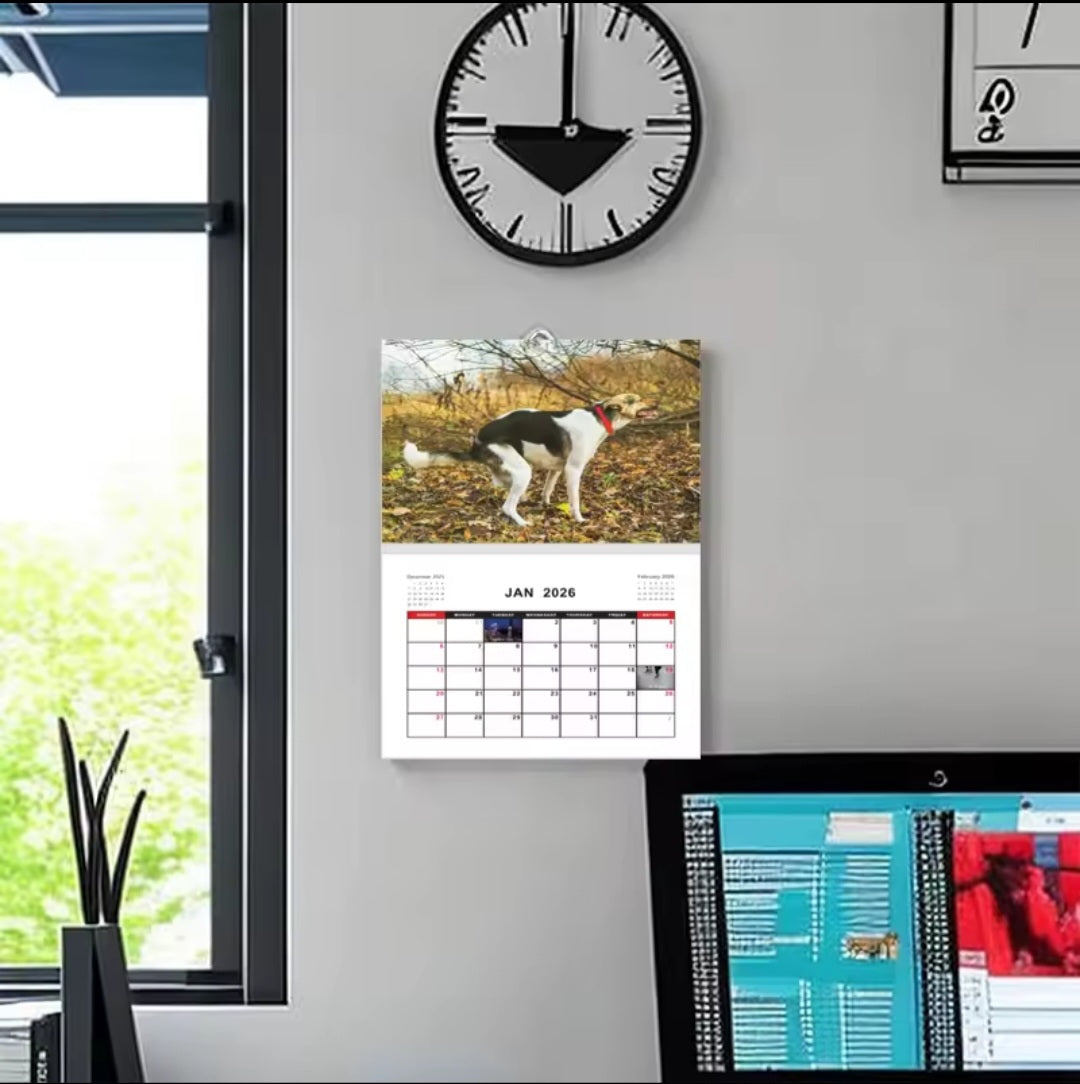 Calendar of dogs pooping in beautiful places