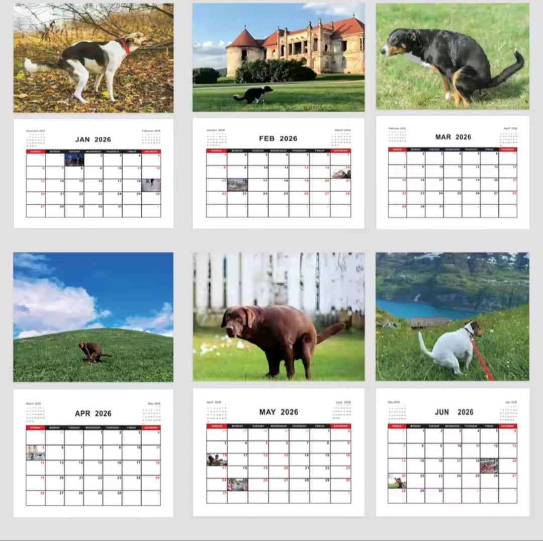 Calendar of dogs pooping in beautiful places