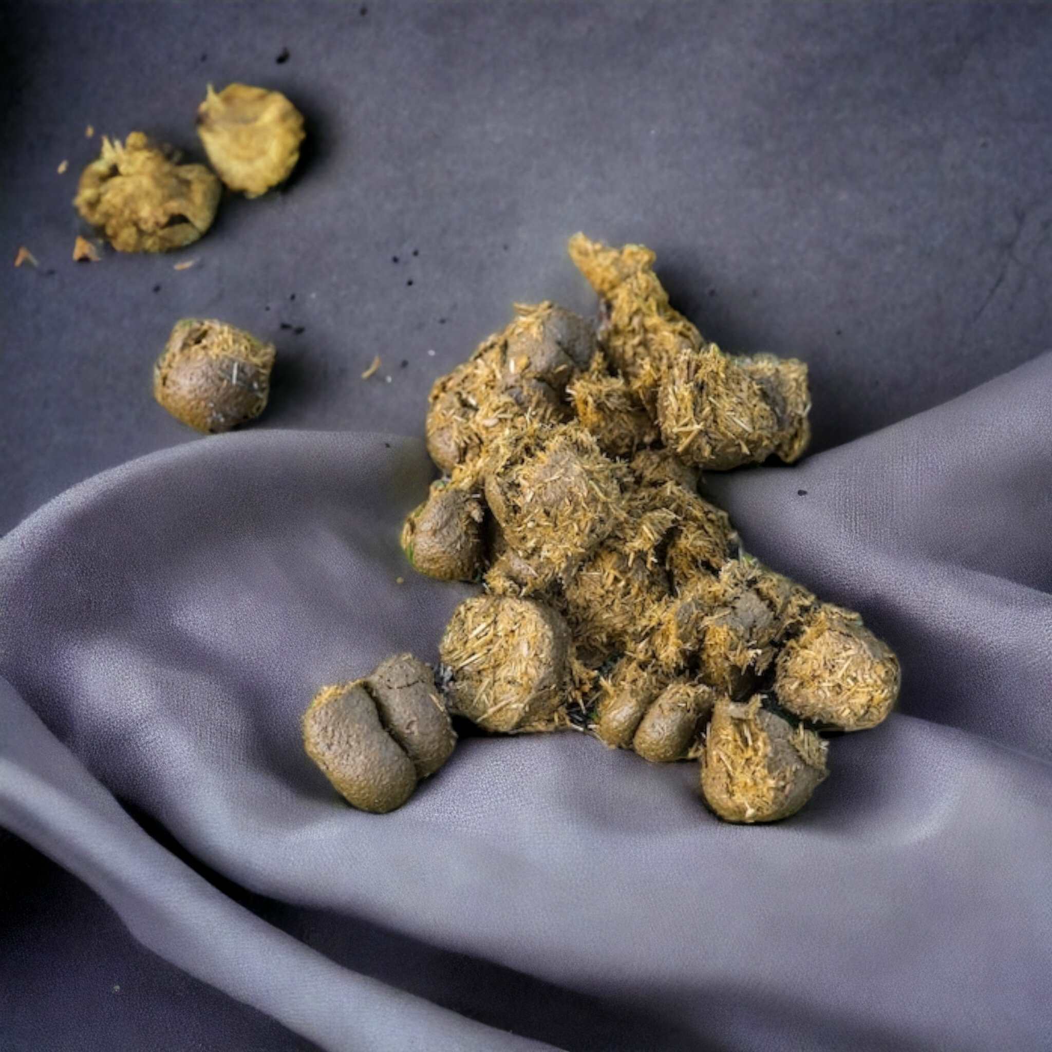 Crottin de cheval 100% BIO